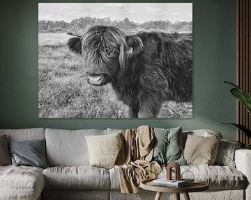 Vache Highlander - noir et blanc sur Esther Venema