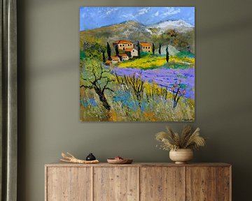 Provence 779101 sur pol ledent