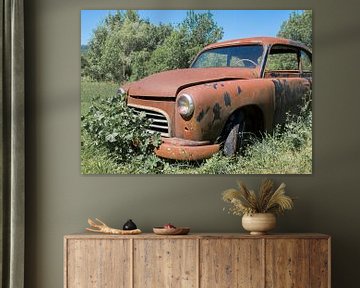 Vergane roestige vintage auto tussen de struiken. van André Dijkshoorn