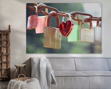 Love padlocks in different colors on a chain on a sunny day. by Evelien Doosje