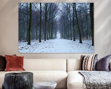 Winter in het bos, sneeuw op het bospad van Discover Dutch Nature
