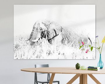 Elefantenbulle im Gras von Robert Styppa