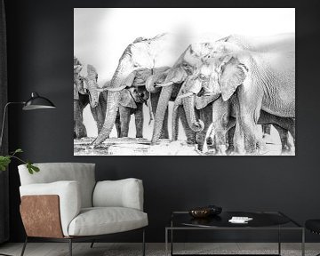 Elefanten am Wasserloch von Robert Styppa
