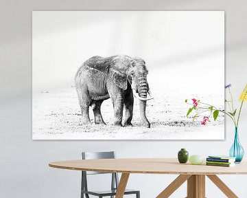 Elefant in Ngorongoro