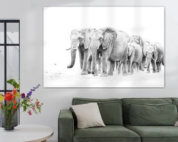 kudde olifanten van Robert Styppa