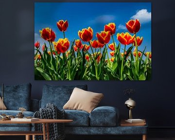 Field with flowering tulips by Fred van Bergeijk