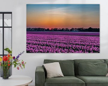A field of tulips at sunset by Fred van Bergeijk