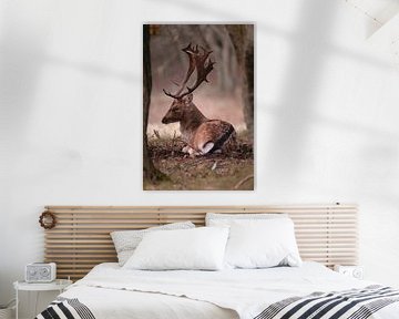 Fallow deer in the forest by Rianne van Diemen