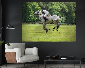 Polo player on his gray by Hamperium Photography