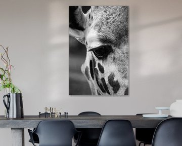 Giraffe von Tesstbeeld Fotografie