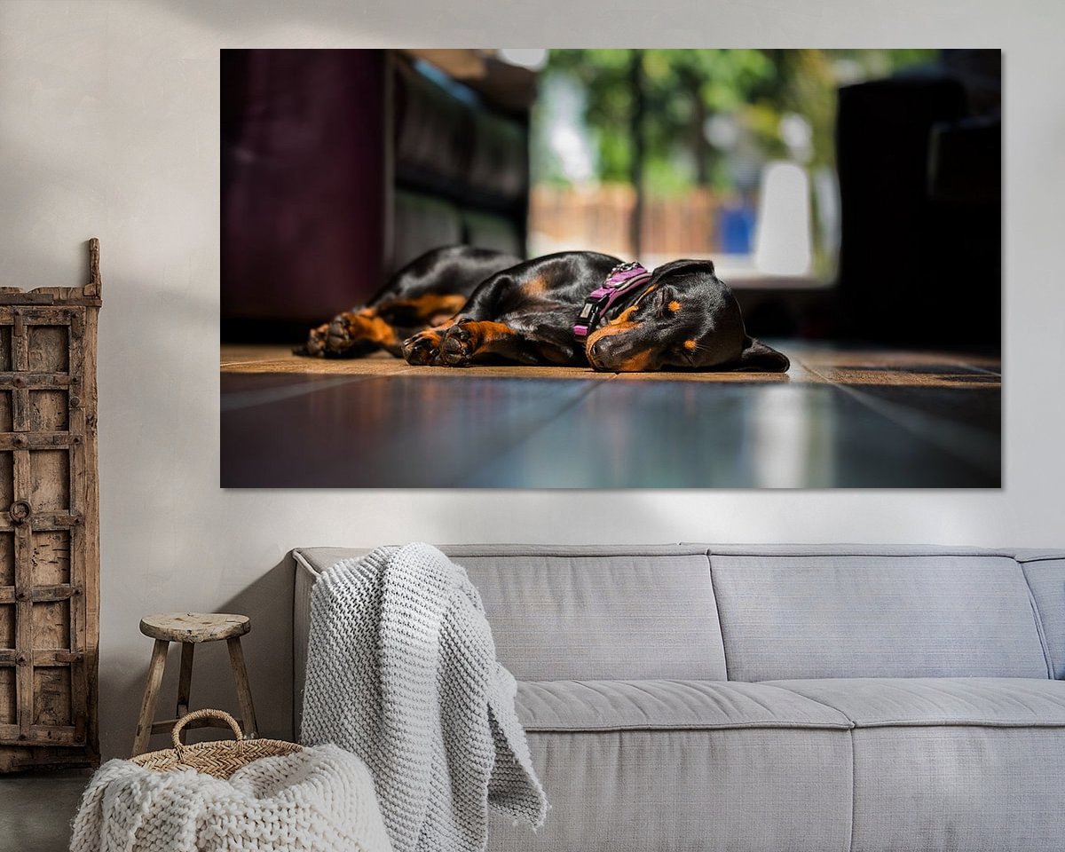 Aperçu de la chambre