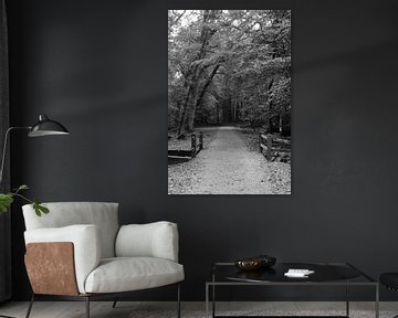 Een bospad met brug in zwart-wit van Gerard de Zwaan