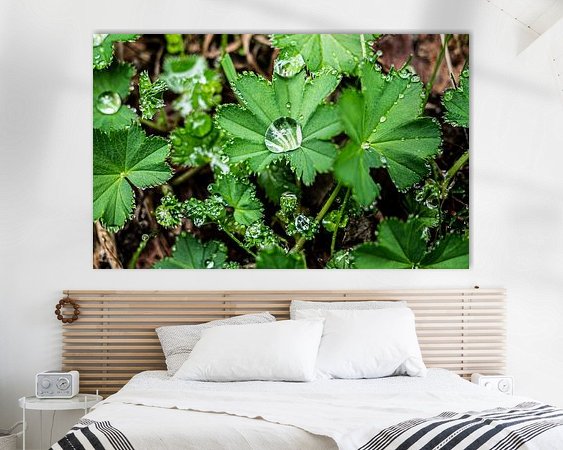 Aperçu de la chambre