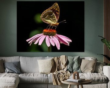 Schmetterling von Stijn Cleynhens