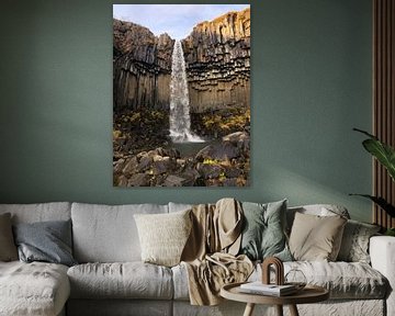 Svartifoss Wasserfall in Island von Liselotte Helleman