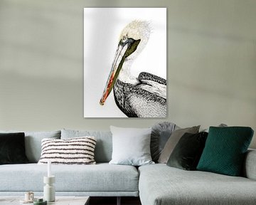 Portrait of a Pelican in colored pencil by Michelle Coppiens