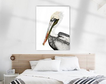 Portrait eines Pelikans in farbigem Bleistift von Michelle Coppiens