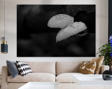 Twee paddenstoeltjes in zwart-wit van Gerard de Zwaan