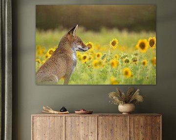 Fuchs zwischen den Sonnenblumen von Carla van Zomeren