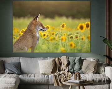Fuchs zwischen den Sonnenblumen von Carla van Zomeren
