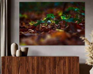 Aperçu de la chambre