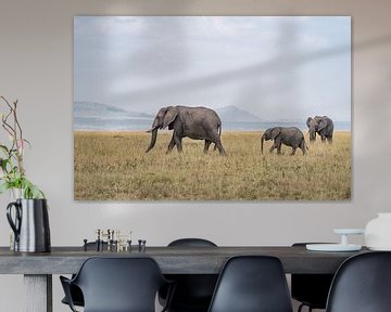 Une famille d'éléphants sur Jessica Blokland van Diën