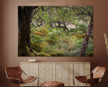 In een bos in Schotland van Fred Louwen