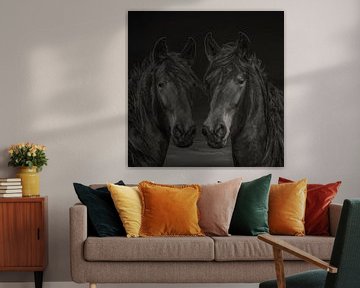 Pferde, 2 Pferde in verschiedenen Farben von Gert Hilbink