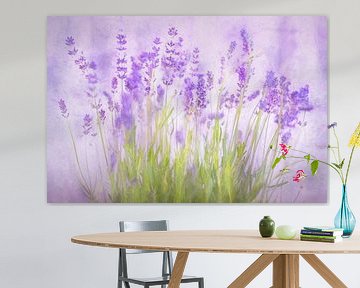 Lavendel in bloei van Arjen Roos