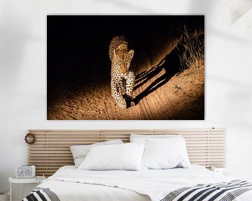 Nacht Leopard von Martin Schuit