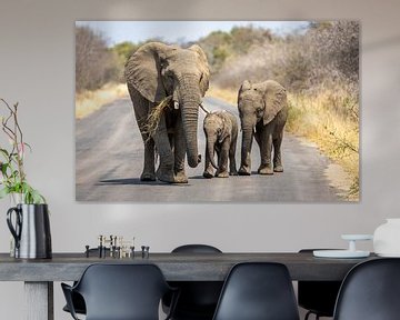 Een groepje olifanten in het Kruger Park Zuid-Afrika. van Claudio Duarte