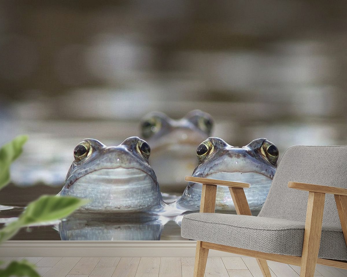 Raumvorschau