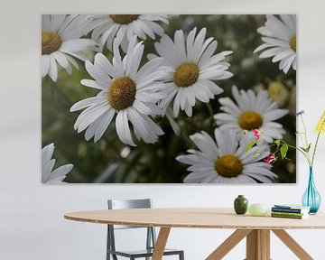 De witte bloemenzee