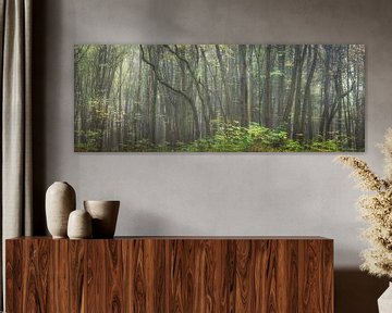 Bossenpanorama - Majestueus bos van Tobias Luxberg