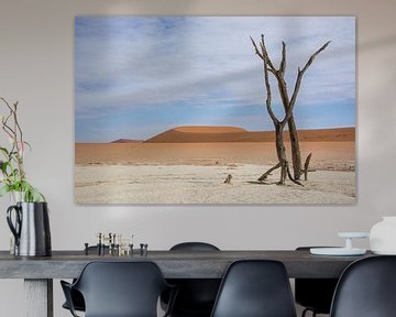 Deadvlei Namibia by Romy Oomen
