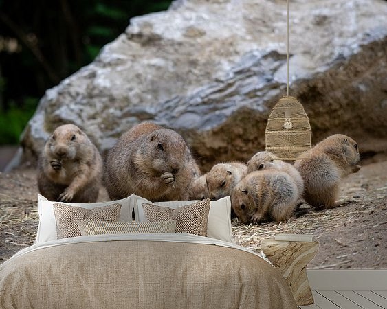 Voorbeeld van het werk in een kamer
