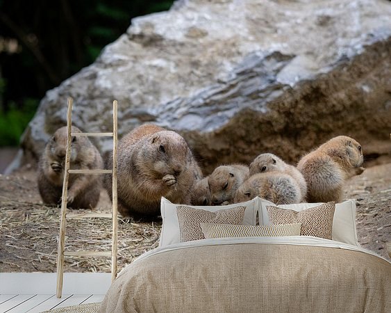 Voorbeeld van het werk in een kamer