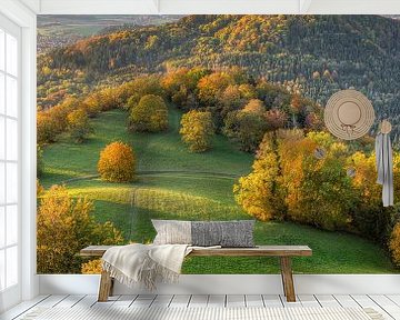 Kasteel Hohenzollern in de herfst van Michael Valjak