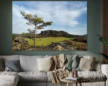 Elbsandsteingebirge - Ausblick vom Berg "Quirl"