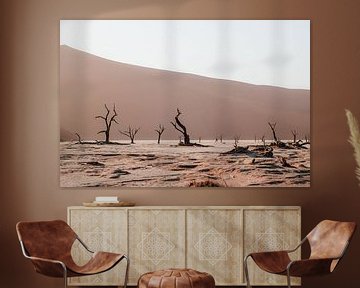 De deadvlei in Sossusvlei Nationaal Park, Namibië van Maartje Kikkert