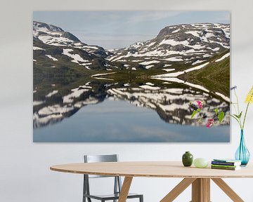 Norwegian landscape in mirror image by Simone Meijer