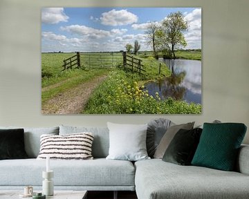 Polder view in the Alblasserwaard by Beeldbank Alblasserwaard