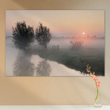 Sunrise Donkse Layers Alblasserwaard