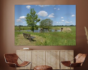 Bench at pond in polder Alblasserwaard by Beeldbank Alblasserwaard