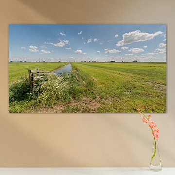 Vue panoramique sur le paysage des polders Alblasserwaard