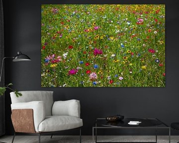 Colourful flower meadow by Reiner Würz / RWFotoArt