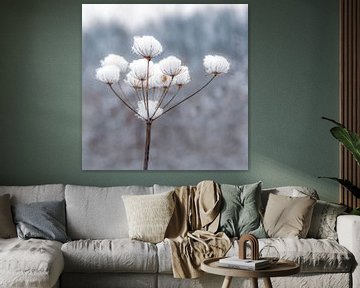 Snowflower by Carla Schenk