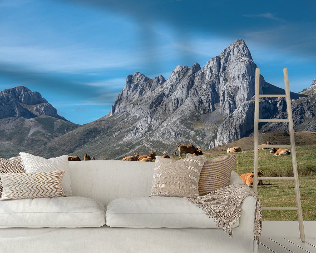 Raumvorschau