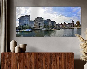 Panorama van het Phoenix-meer 8