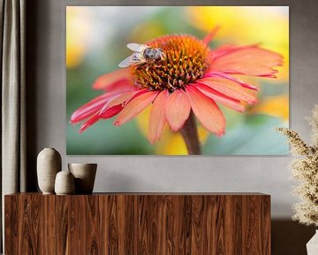 Orange sun hat with bee by Carla Schenk